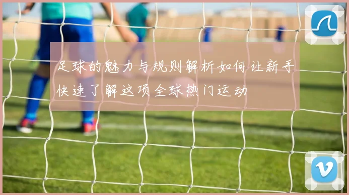 足球的魅力与规则解析如何让新手快速了解这项全球热门运动