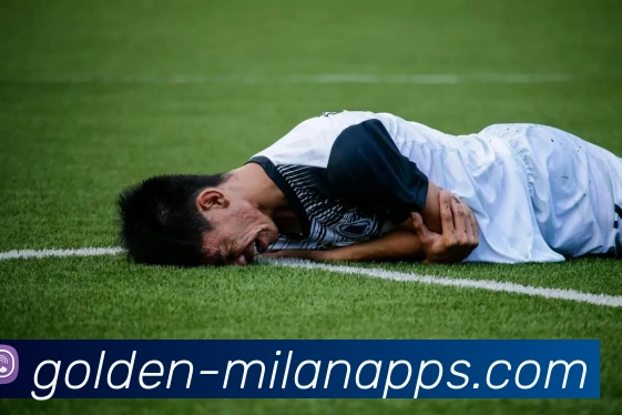 米兰体育平台生态图