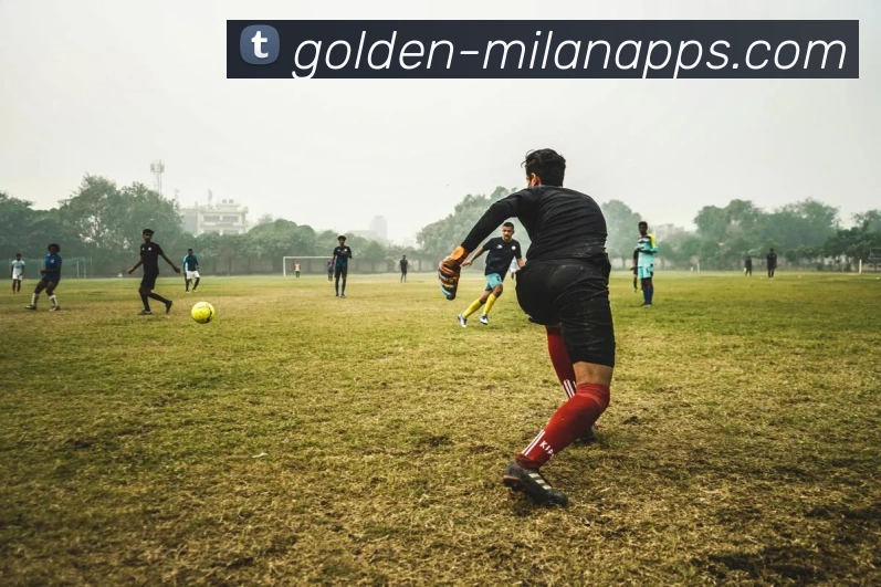 米兰体育全站App